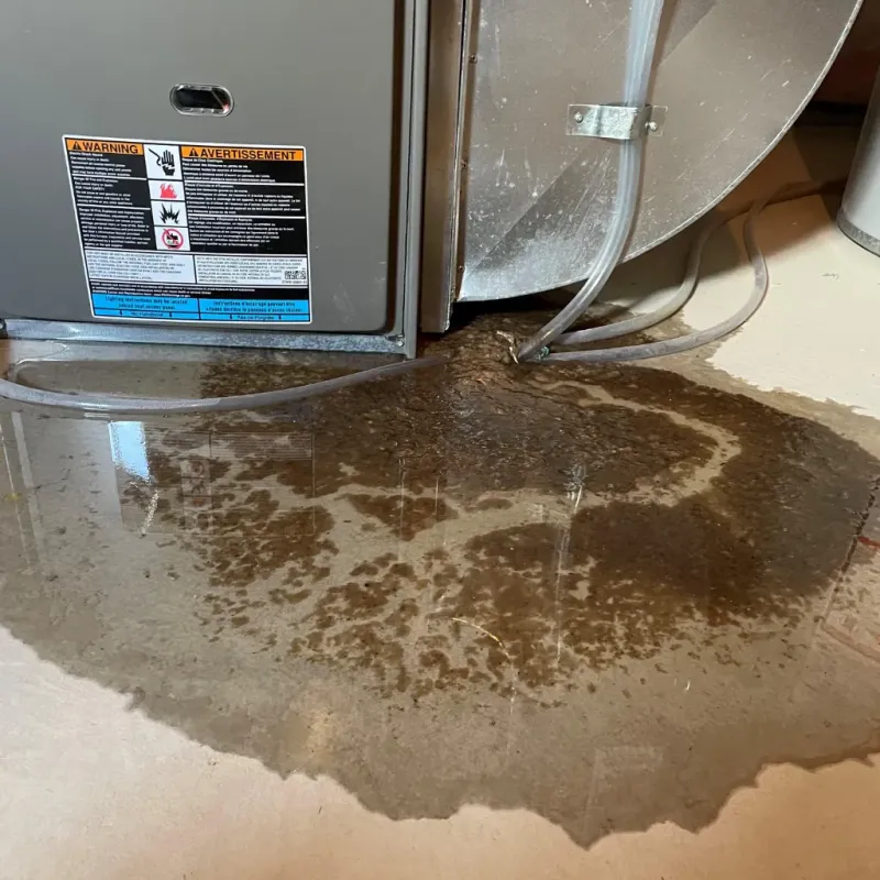 Appliance Leak Cleanup in Carrboro, NC